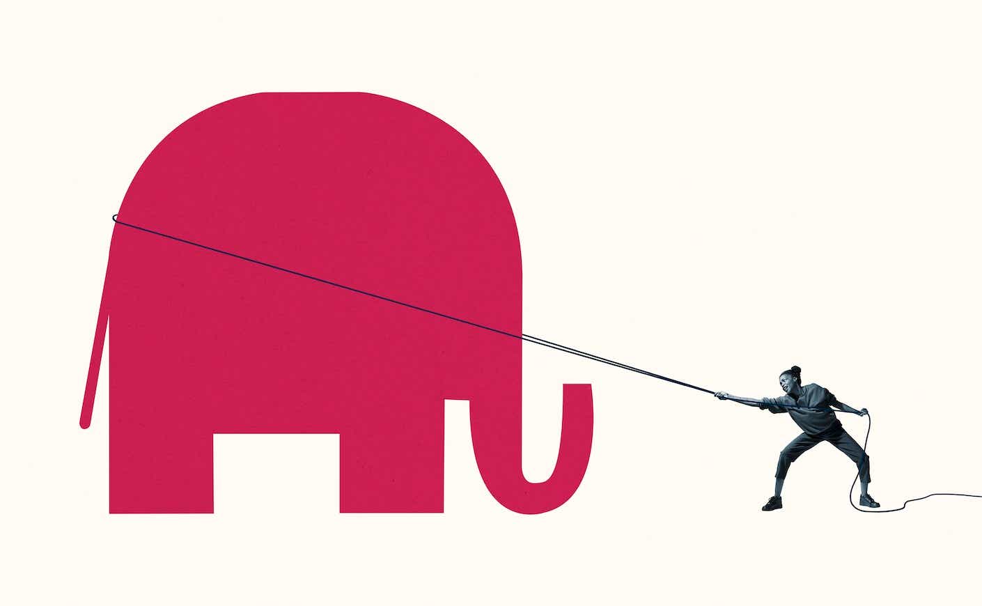woman roping in the republican elephant symbol