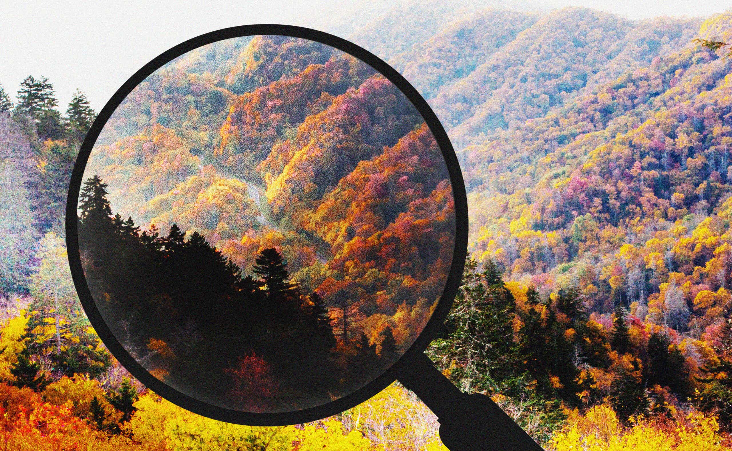 Best US States for Remote Getaways in 2024