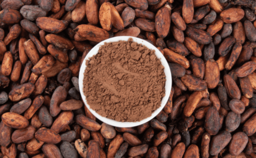 Cocoa Flavanols