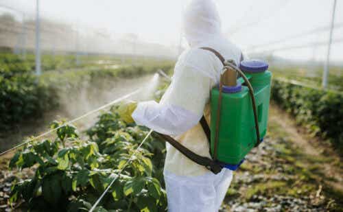 person spraying pesticides on plants and produce in a farm