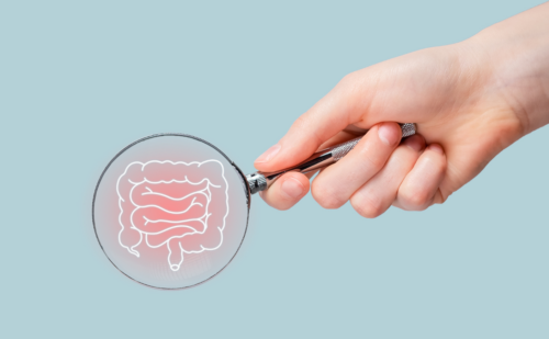 Illustration of the human intestine under a magnifying glass