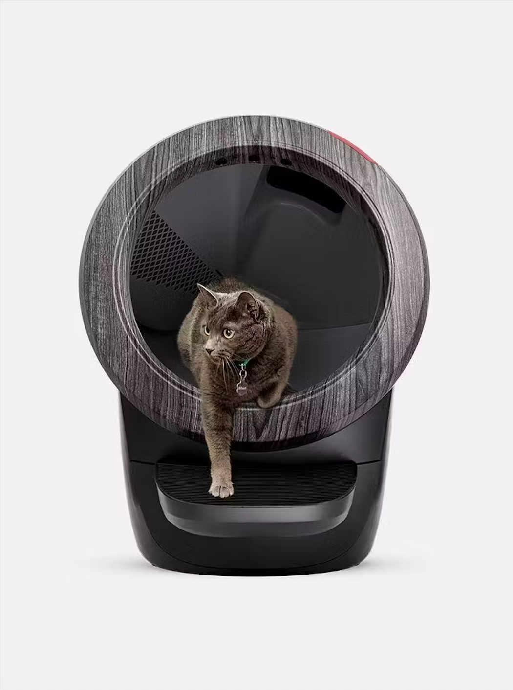 litter robot 4 with cat