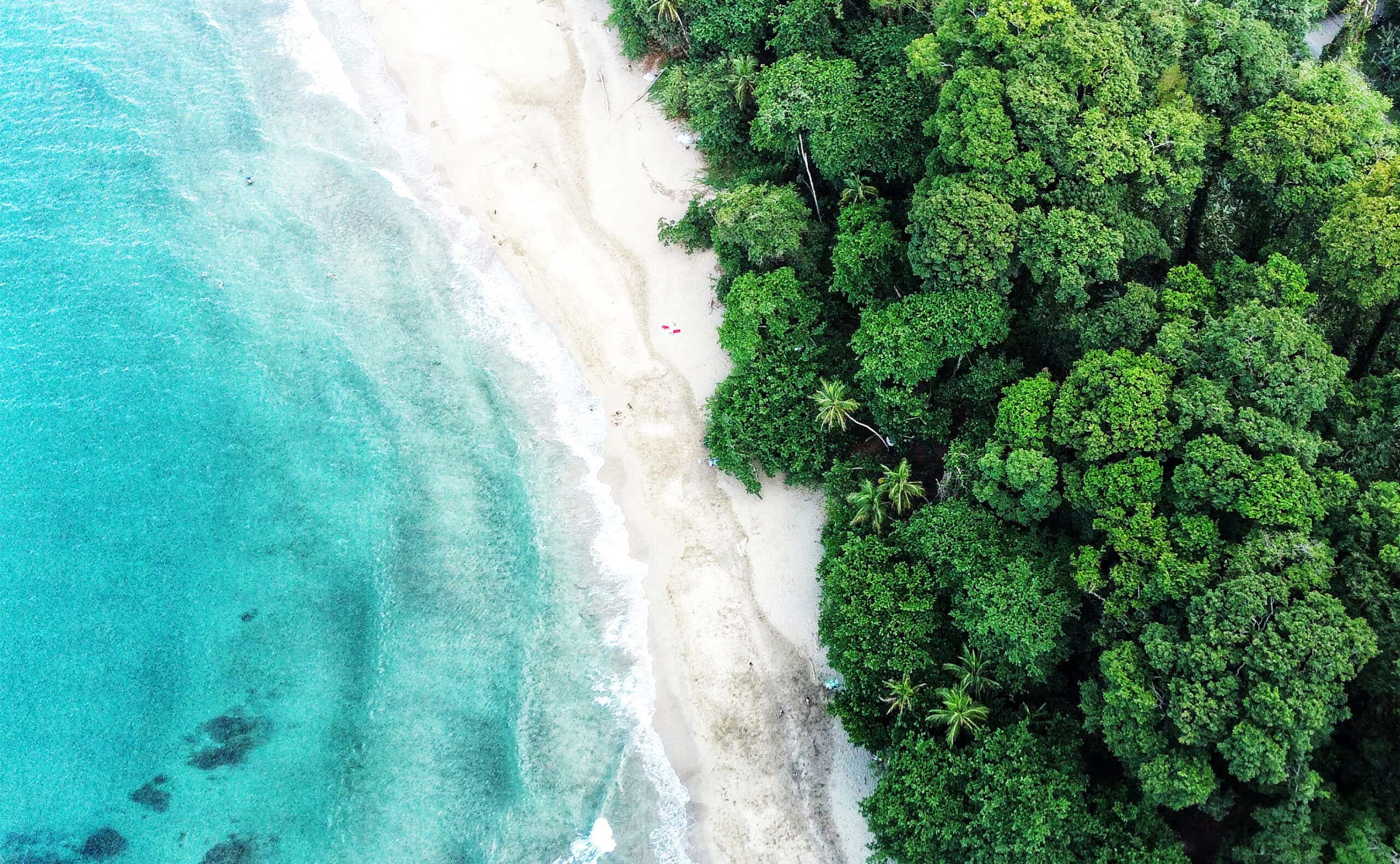 costa rica beach from above