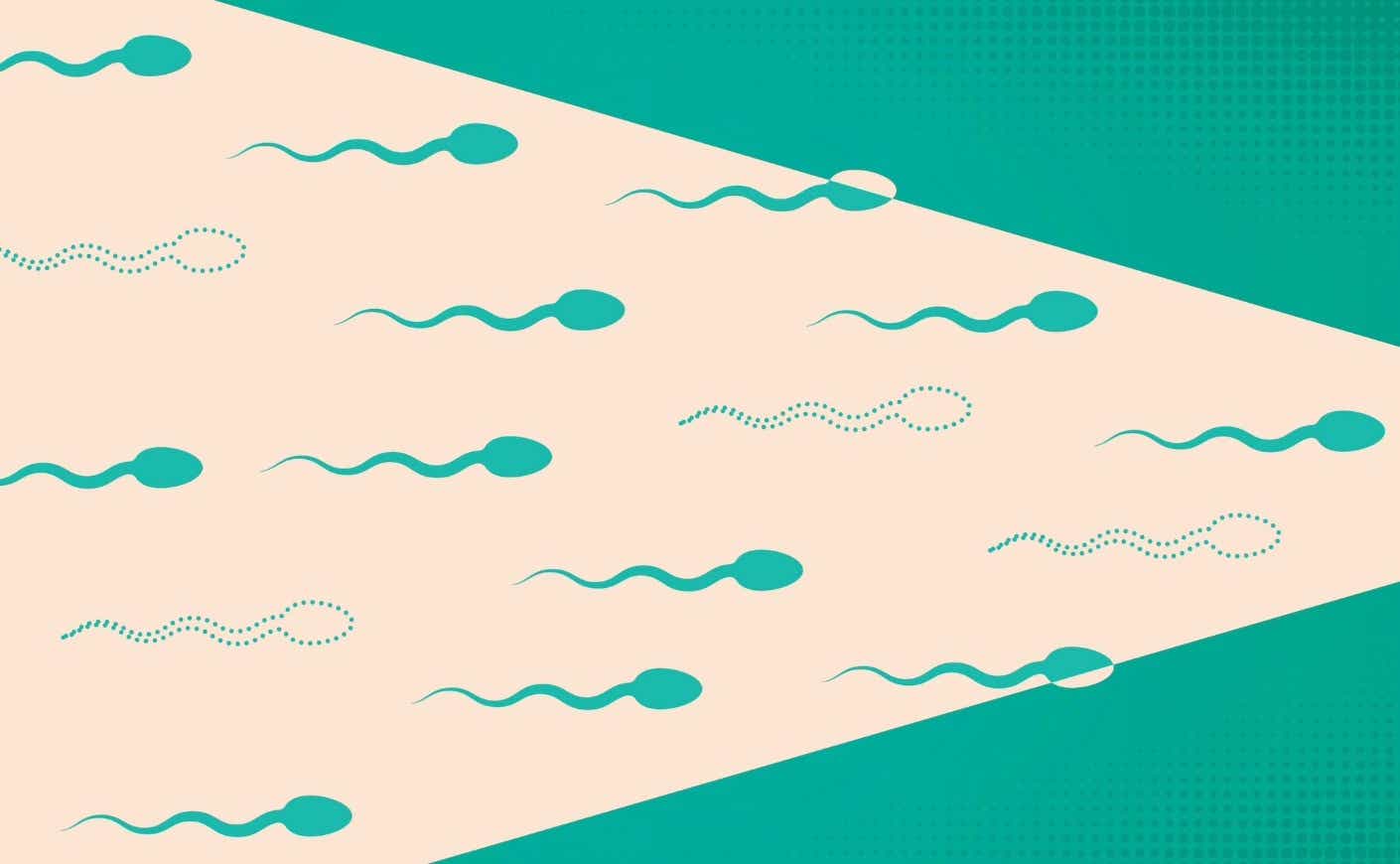 sperm moving illustration