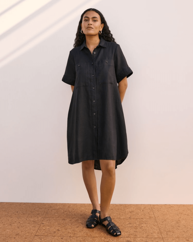 everlane day tripper dress