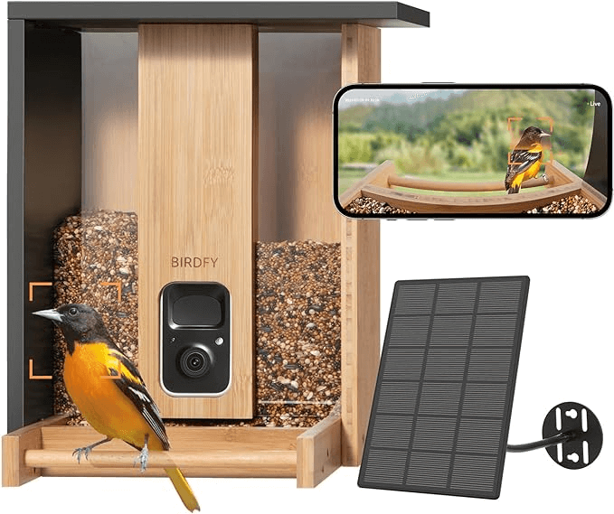 birdfy smart feeder