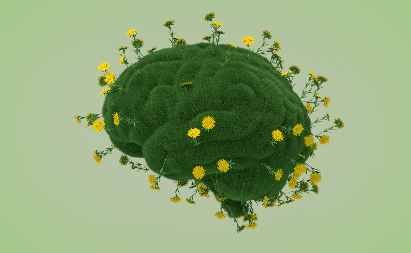 Illustration of a brain with flowers and grass growing on the surface