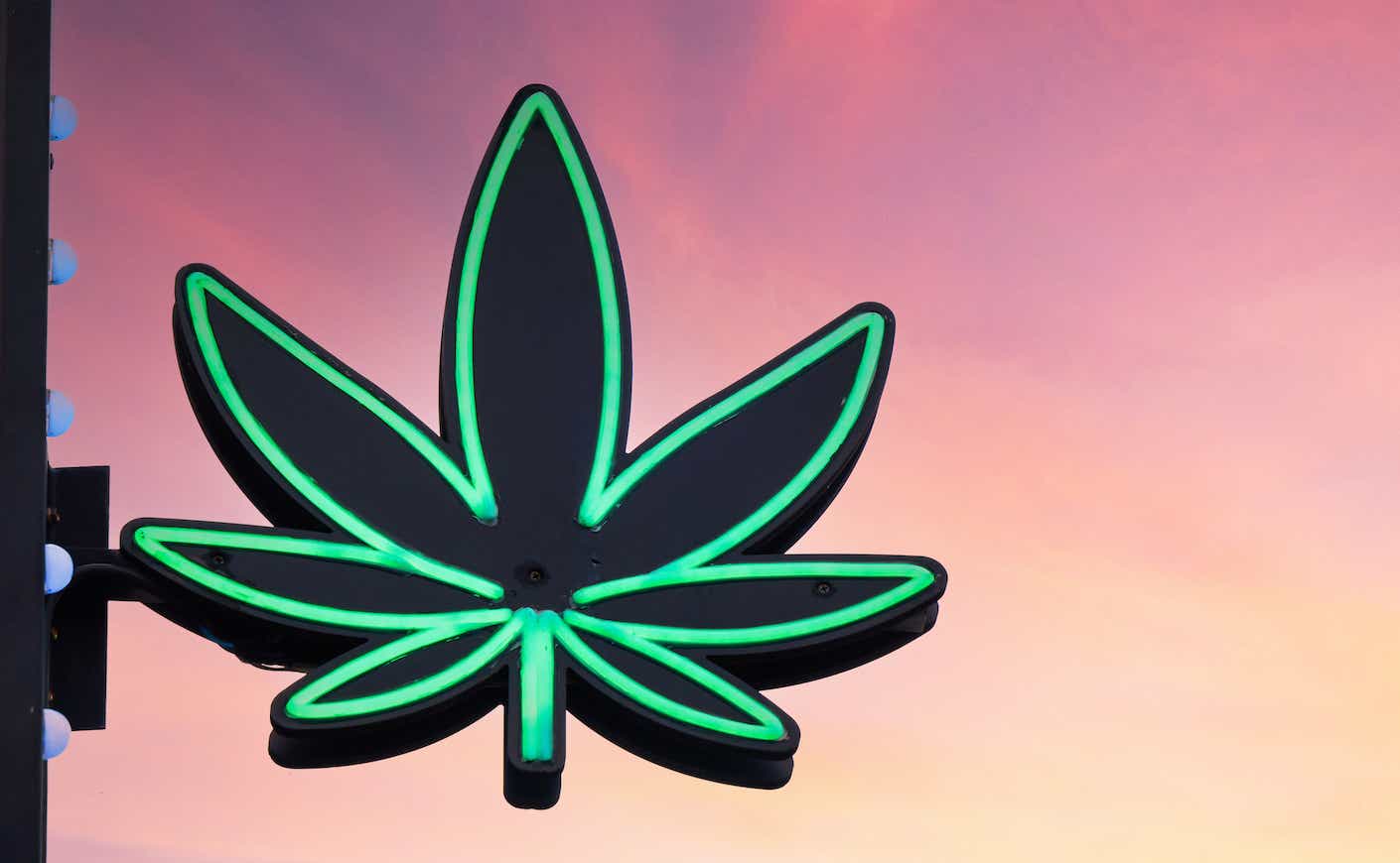 Neon sign of large marijuana leaf on billboard