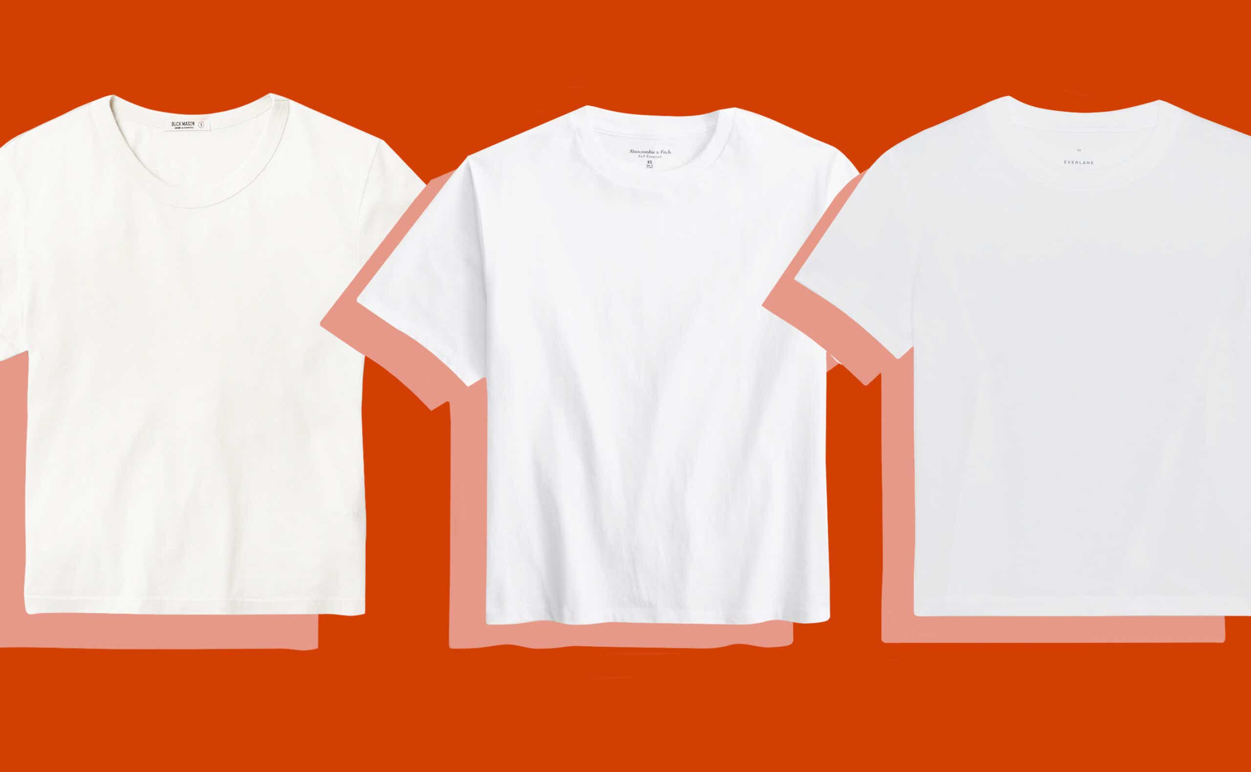 best white t-shirts according to our team