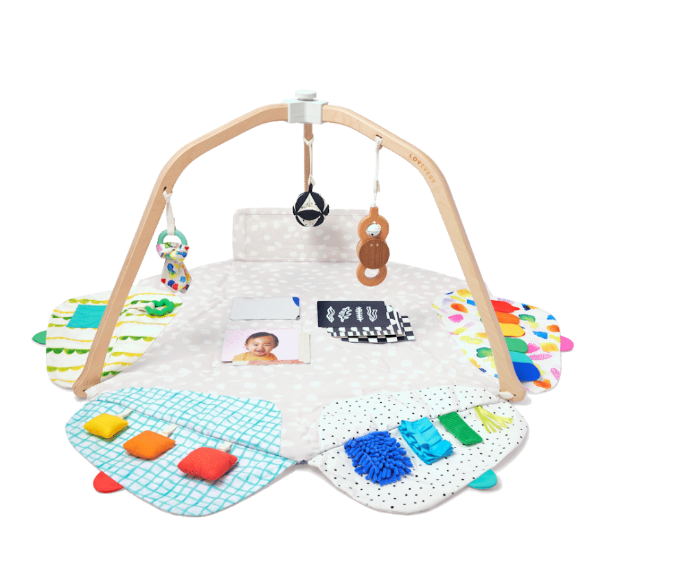Lovevery Play Gym