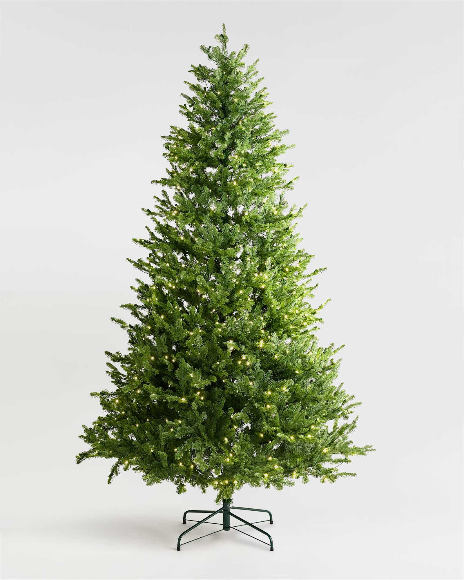 Quince Fraser Fir Christmas Tree