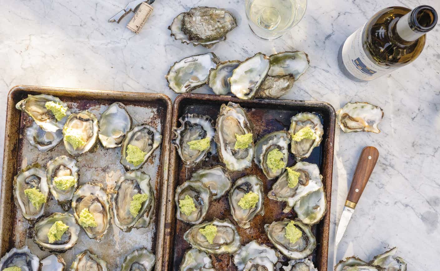 Two trays of oysters on the half shell.