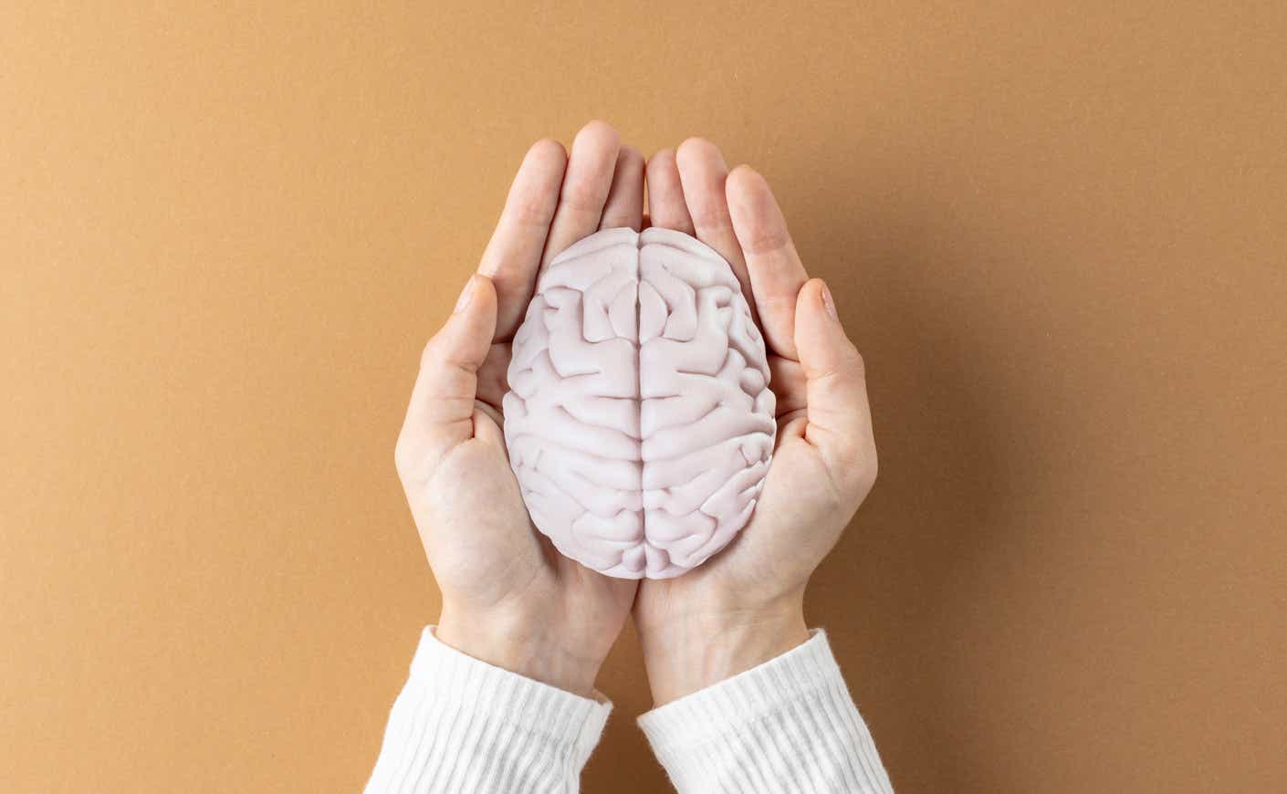 a woman holding a model brain