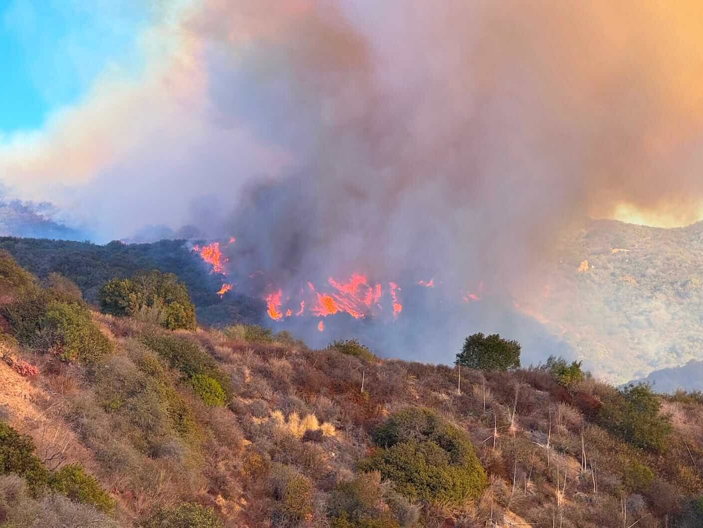 fire in palisades hills