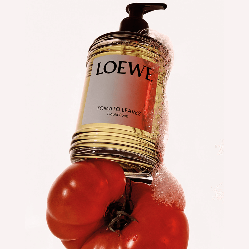 loewe tomato leaves hand soap