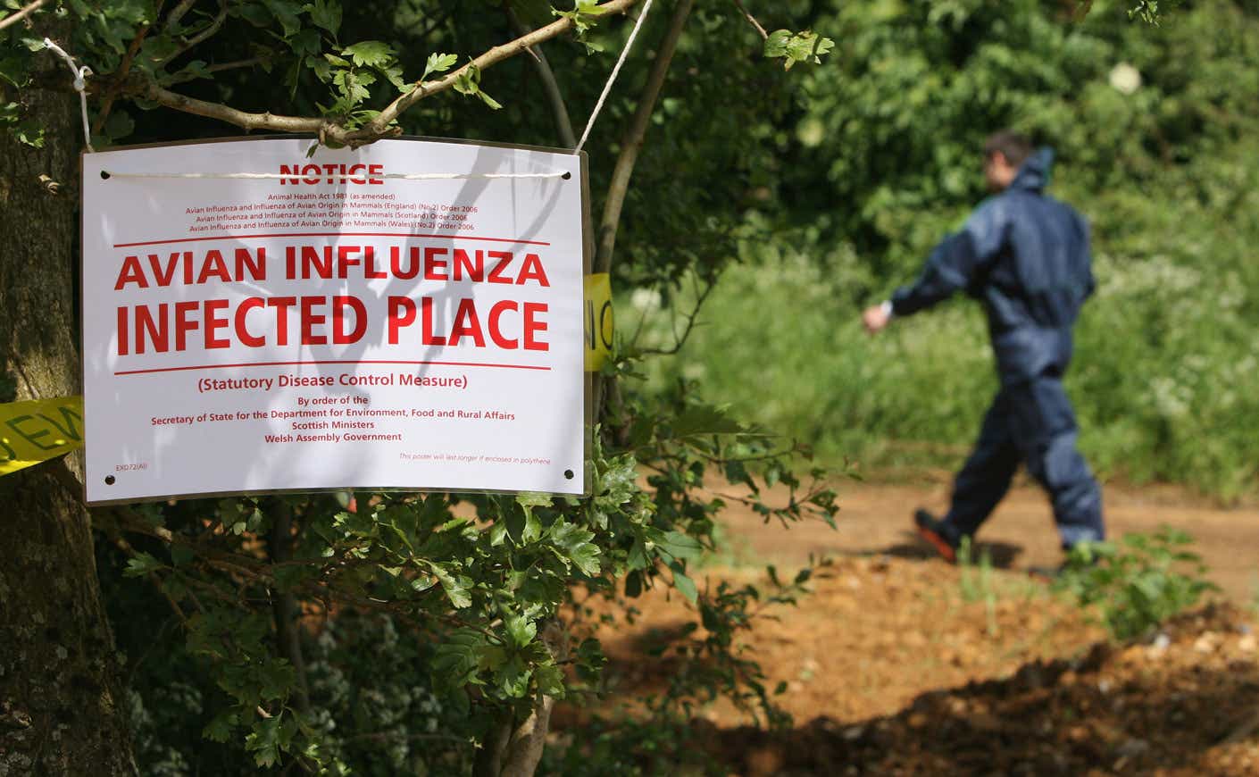 a sign for avian influenza