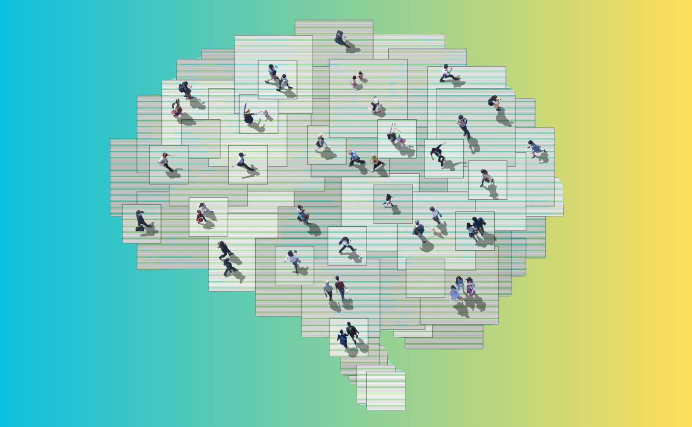 walking across a brain image