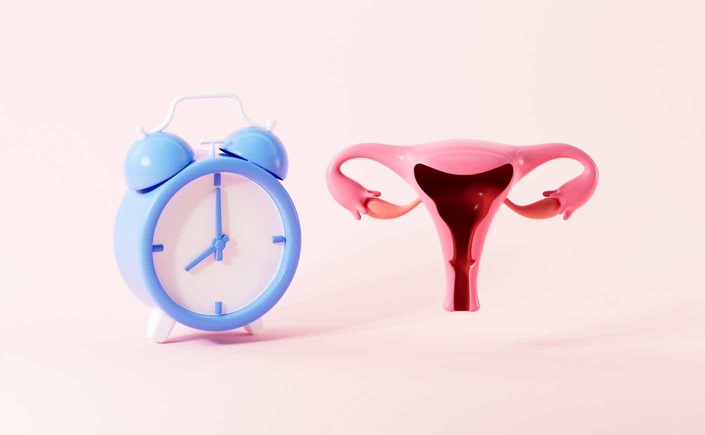 a clock and a uterus