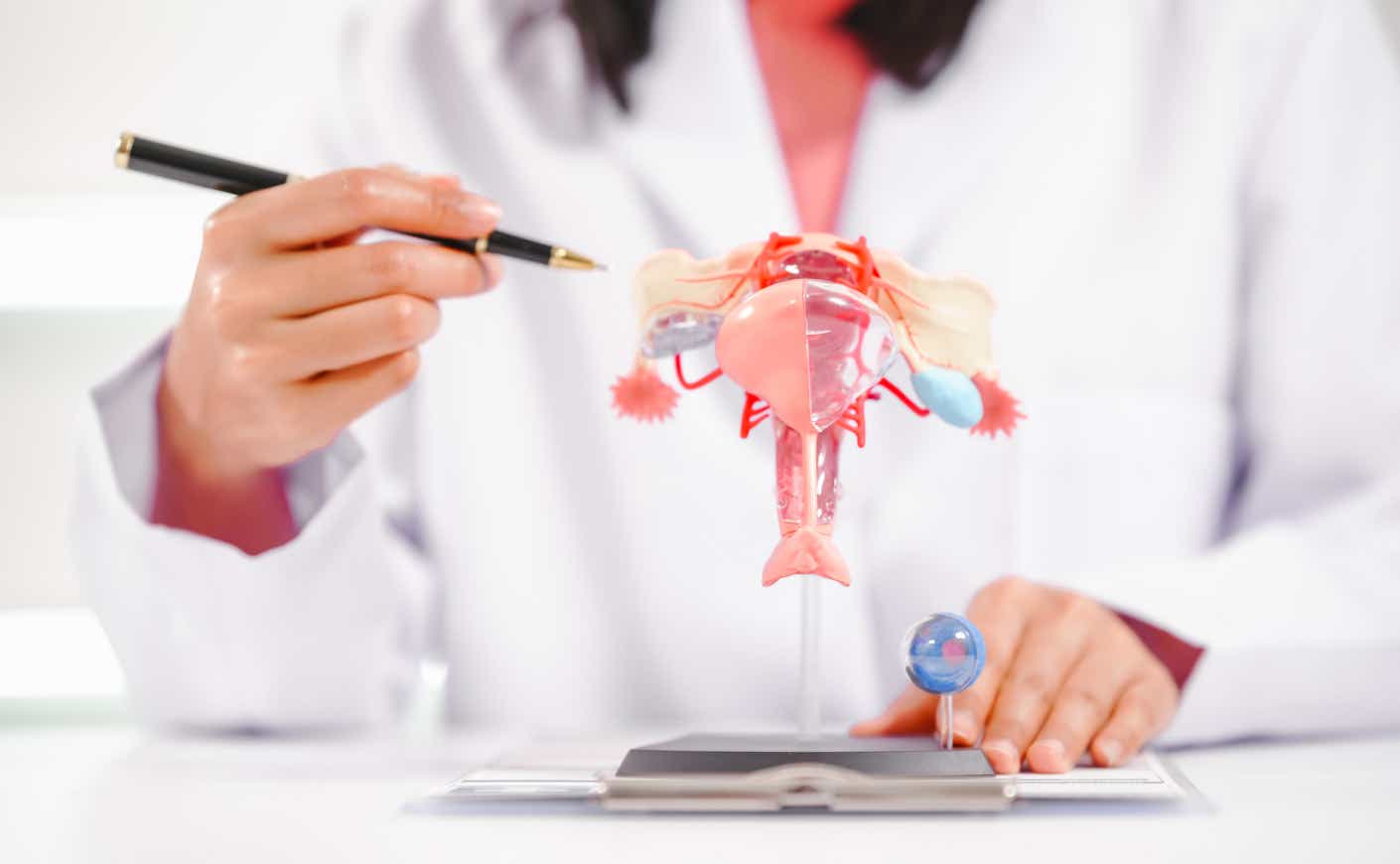 a doctor pointing to a model of a uterus