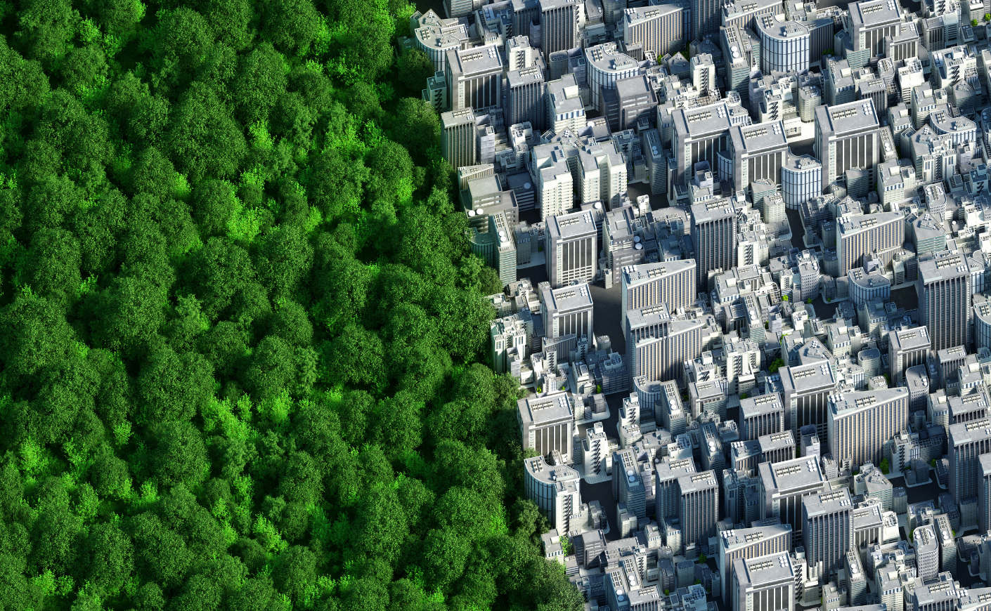 Trees and roofs WEB