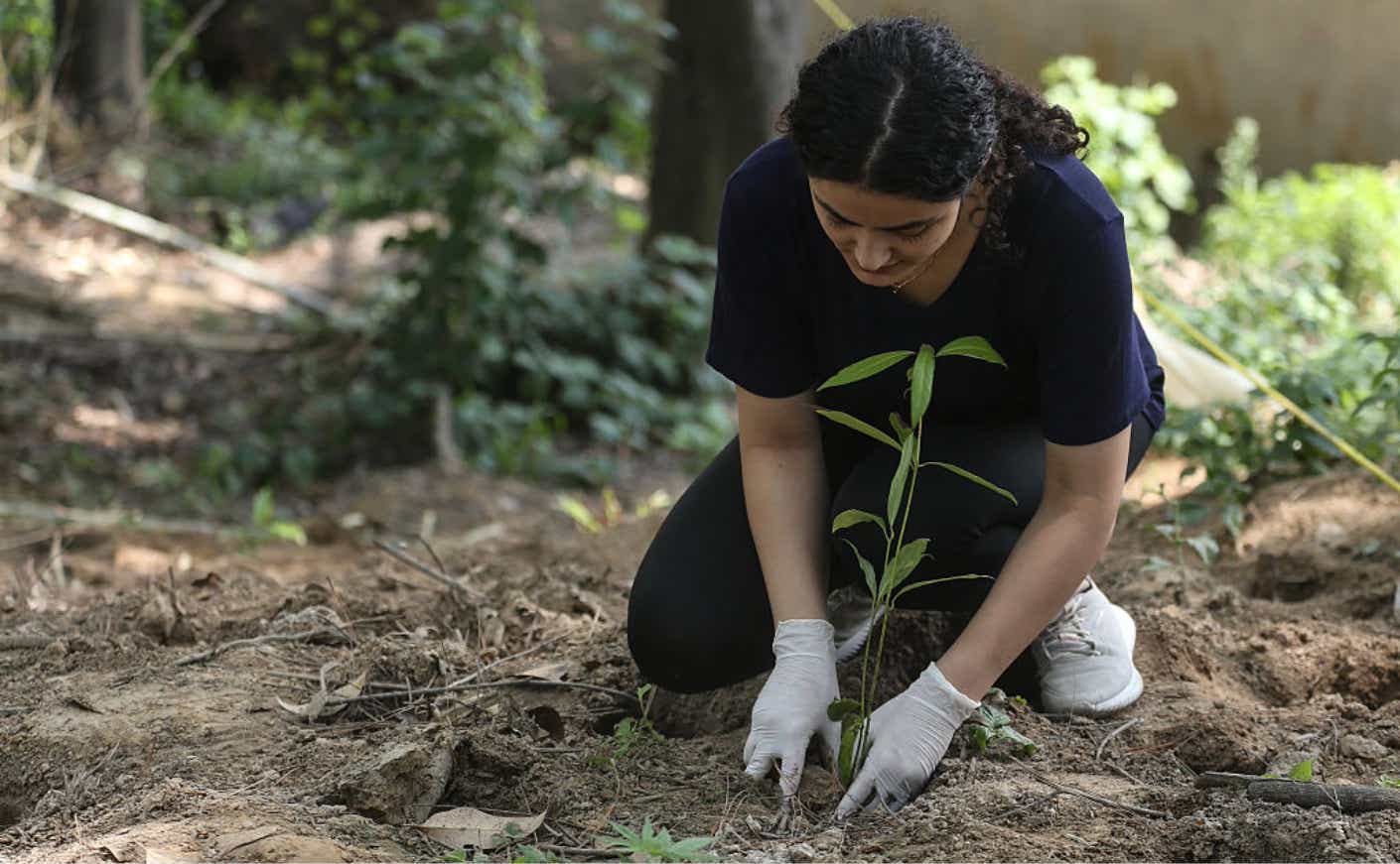 A young girl plants a tree in celebration of World Environment Day