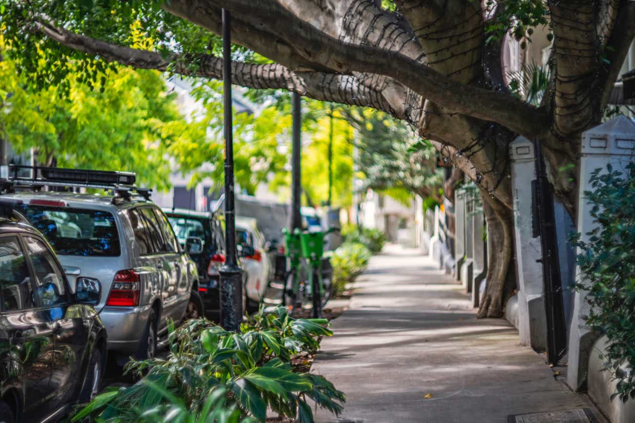 Trees line the sidewalk, offering some much-needed shade and greenery.