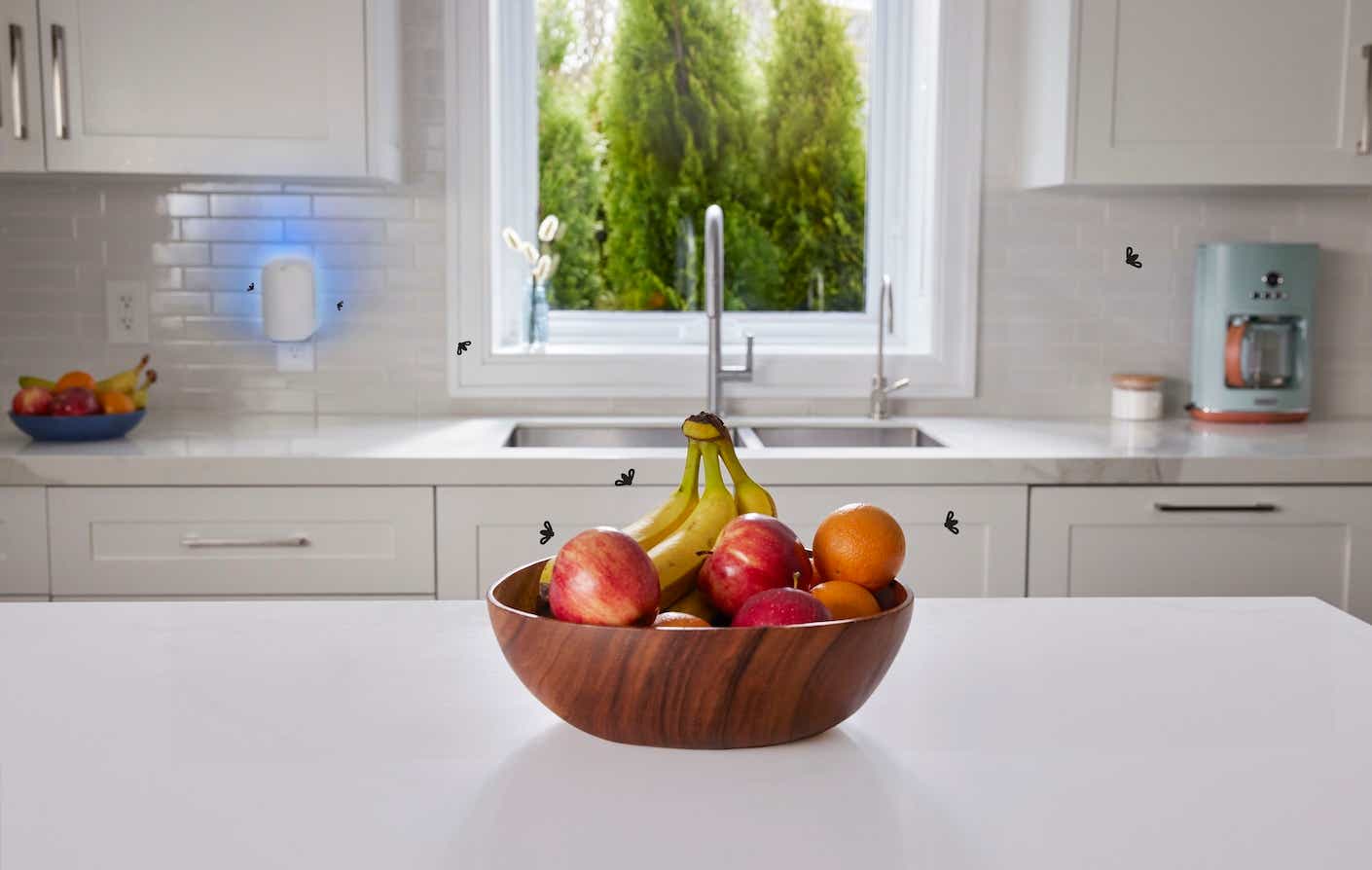 Zevo_Lifestyle_Hi-Res_Traps4_105066471 (1)