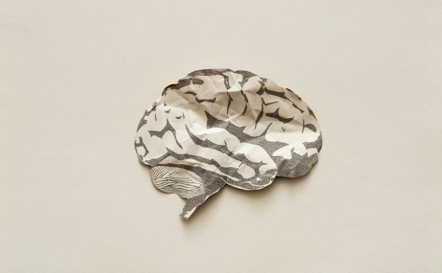 a crumpled paper brain