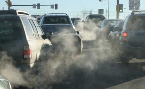 dirty cars