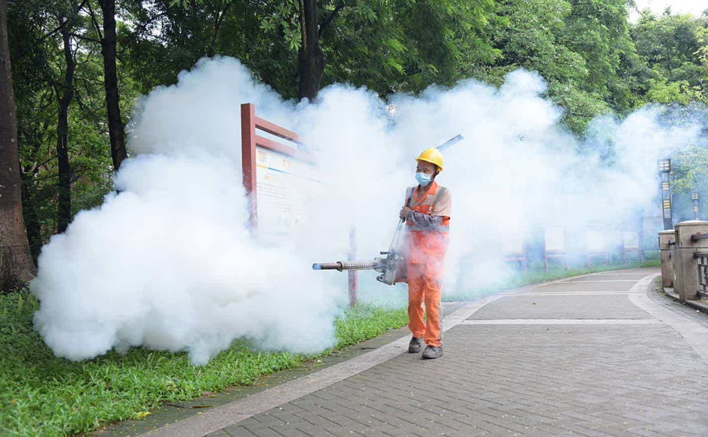 insecticide