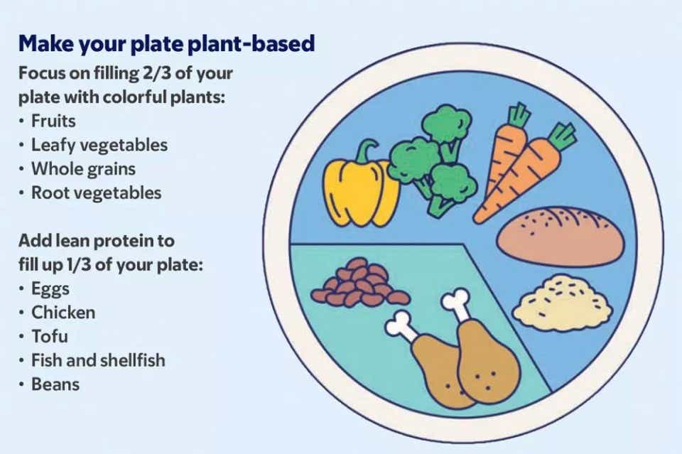 Illustration of a plate with 2/3 plants, 1/3 protein
