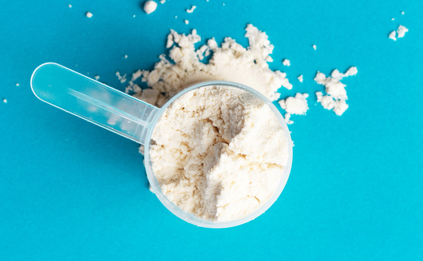 A scoop full of protein powder on a blue background