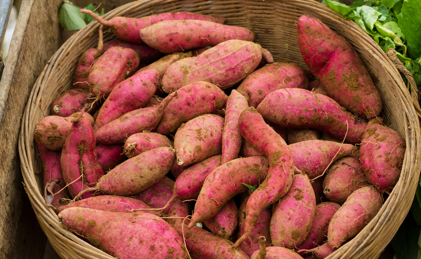 A basket of sweet potatoes