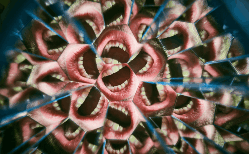 mouths in a kaleidoscope