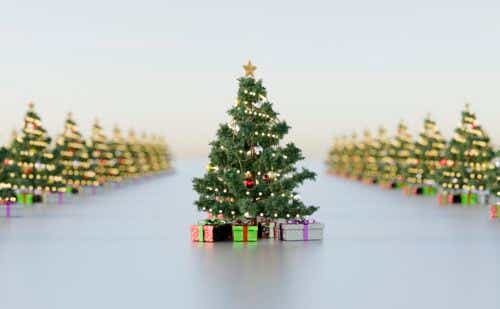 decorated christmas trees lined up with presents under them.