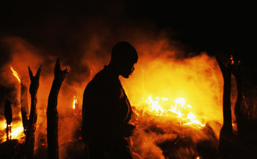 man standing in front of burning trees