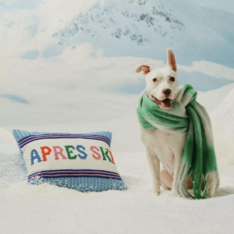 apres ski throw pillow