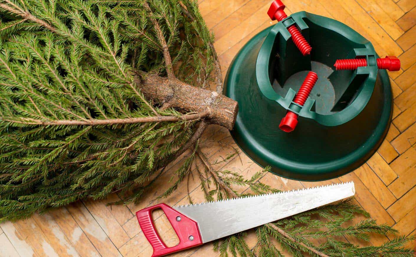 A Christmas tree, tree stand, and saw.