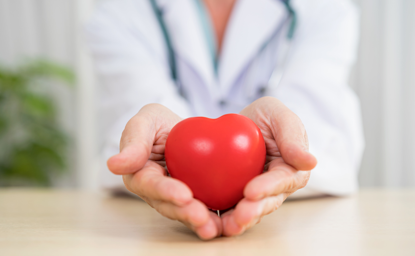 a doctor holding a toy heart