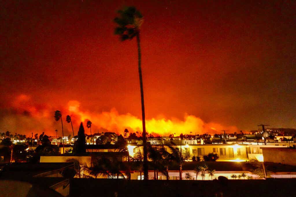 The L.A. fires. burning in the background of houses and palm trees.