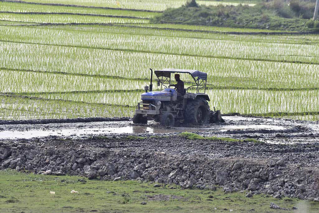 A tractor in an irrigated rice paddy.