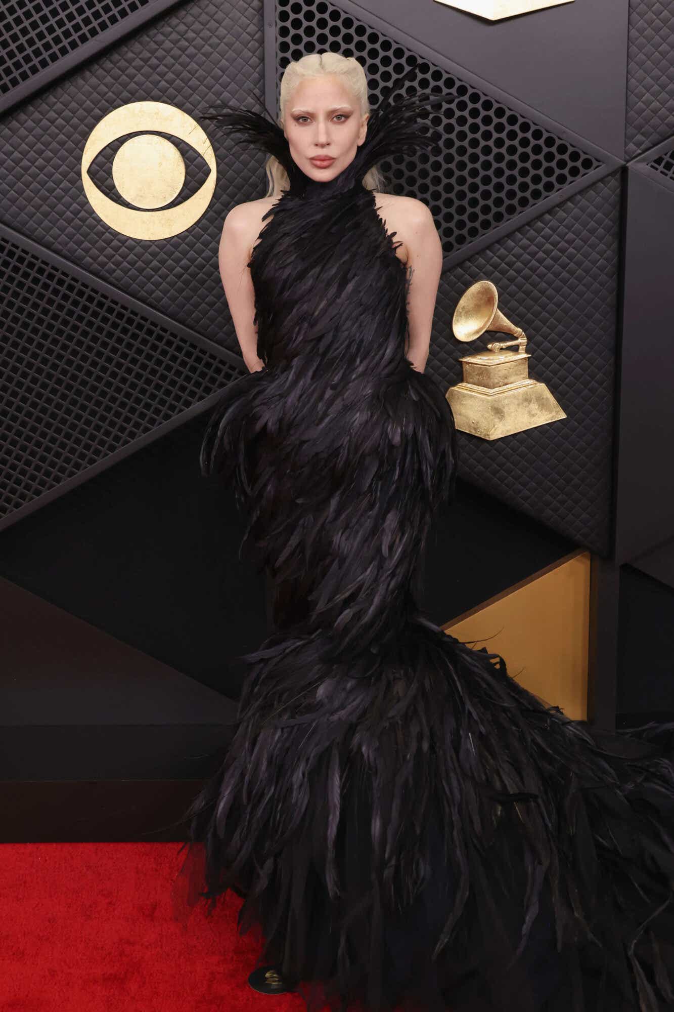 Lady Gaga wears a completely feathered gown in black with a high neckline