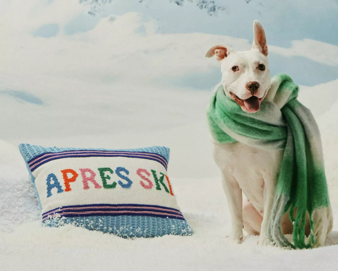 J.Crew Olympics collection and Anthropologie wall hooks