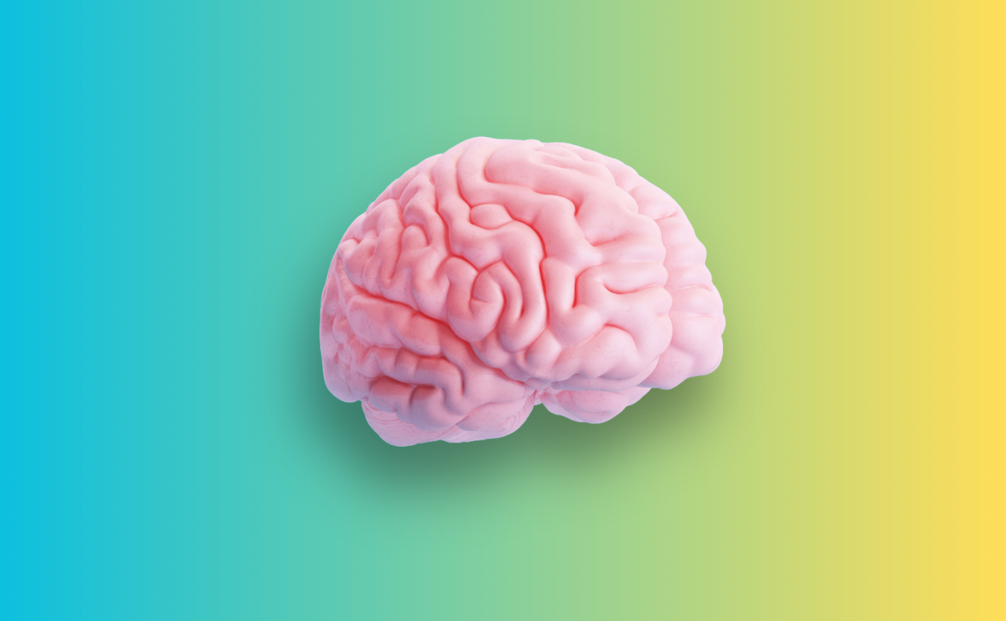 maintain your mind 3 v2 (1)