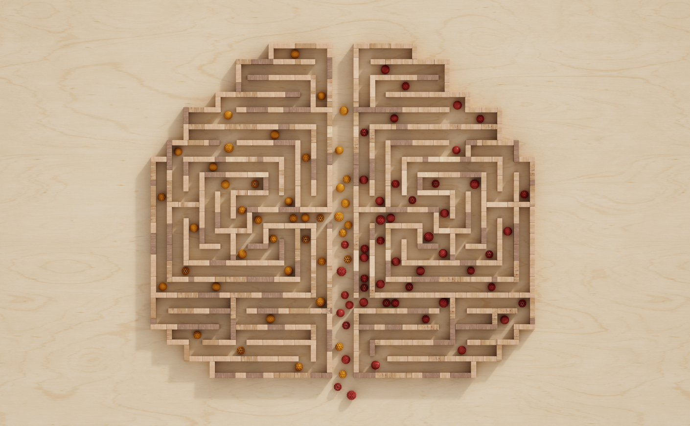 puzzle of a brain