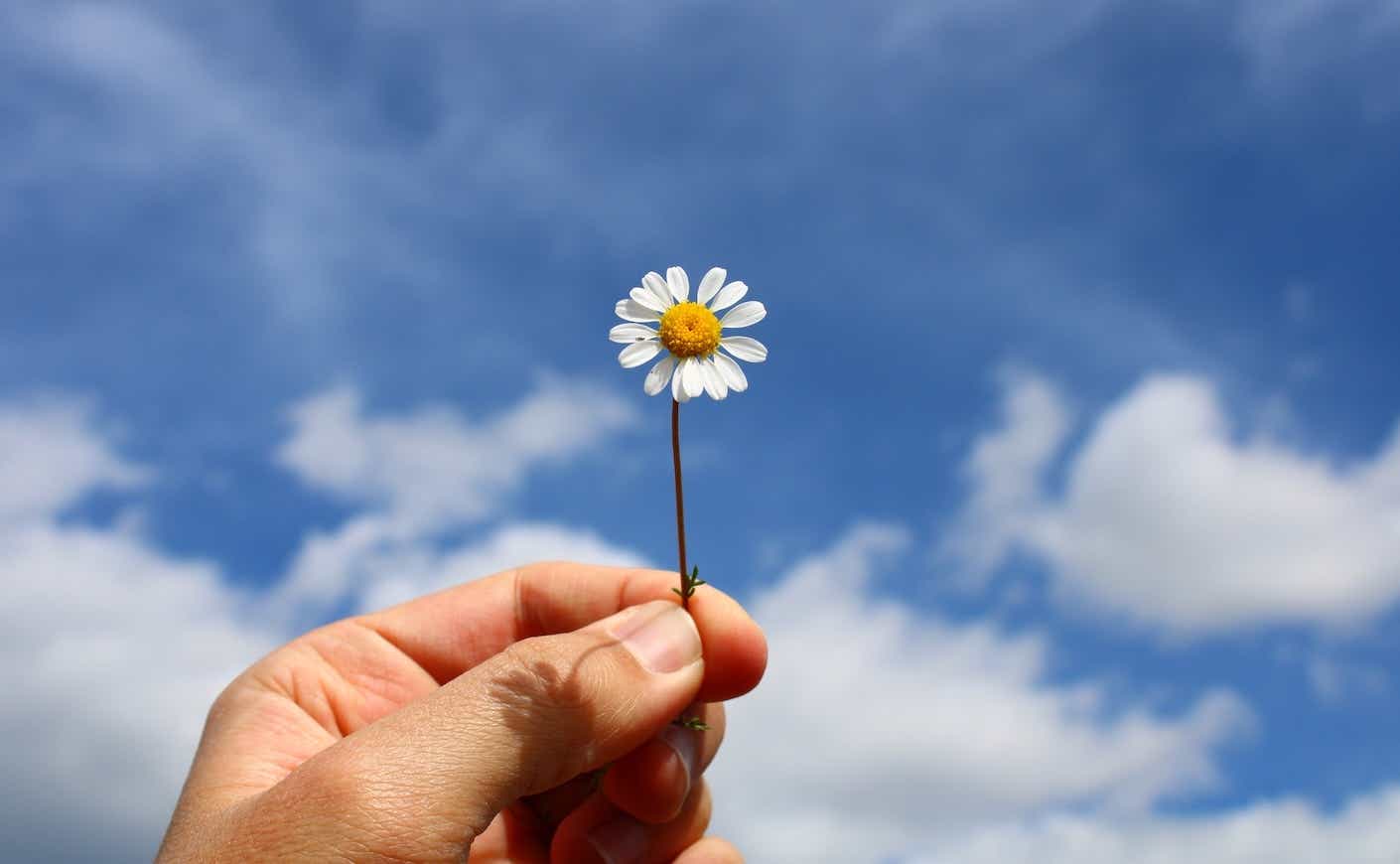 hand holding flower to the sky