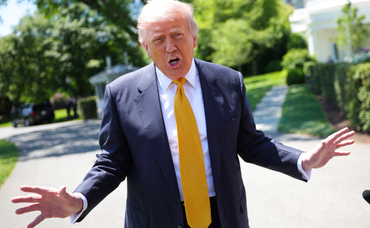Trump-WEB (1)