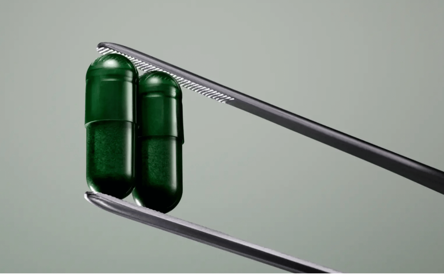 seed probiotics ds01