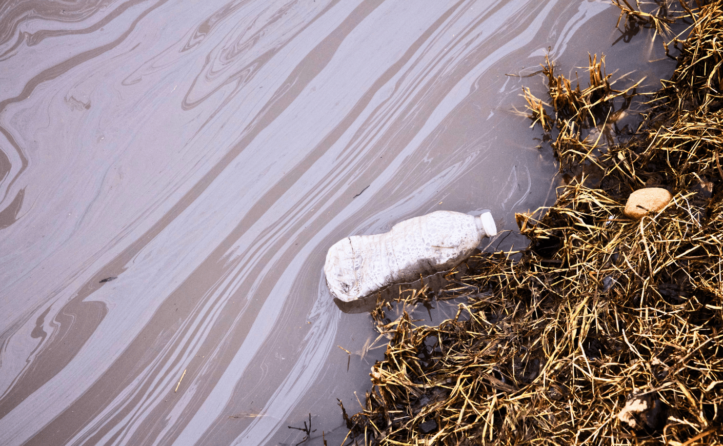 plastic bottle in polluted river