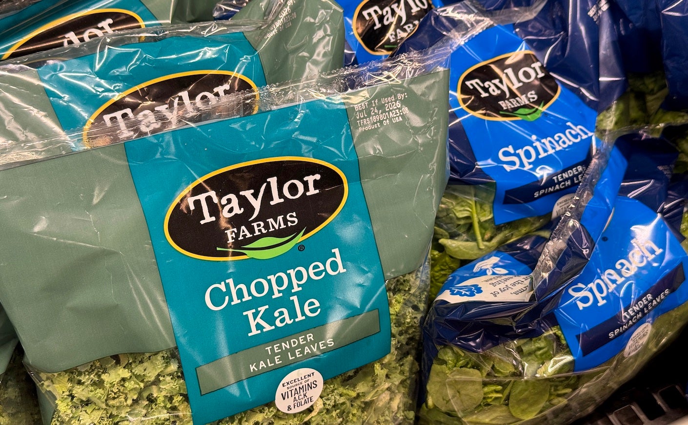 taylor